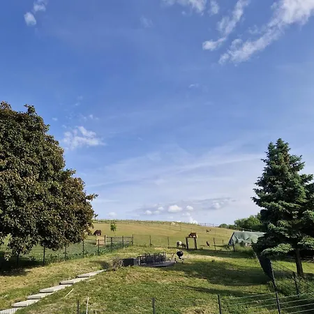 Alpakahof * Гослар